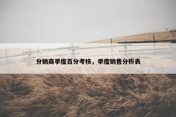 分销商季度百分考核，季度销售分析表