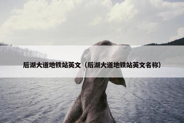 后湖大道地铁站英文（后湖大道地铁站英文名称）