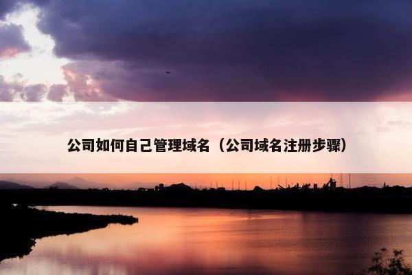 公司如何自己管理域名（公司域名注册步骤）