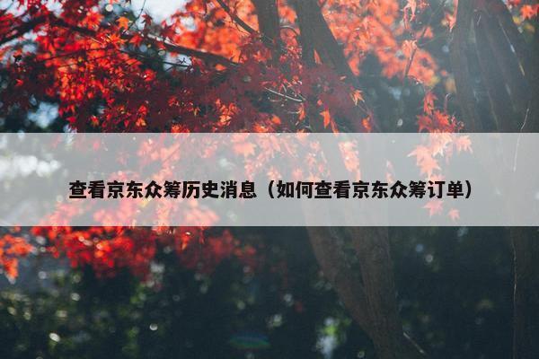 查看京东众筹历史消息（如何查看京东众筹订单）