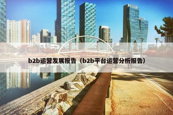 b2b运营发展报告（b2b平台运营分析报告）