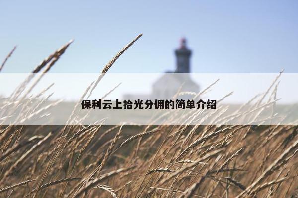 保利云上拾光分佣的简单介绍