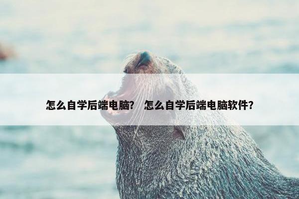 怎么自学后端电脑？ 怎么自学后端电脑软件？