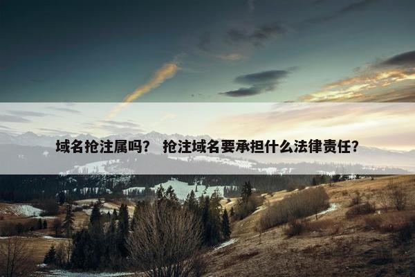 域名抢注属吗？ 抢注域名要承担什么法律责任？