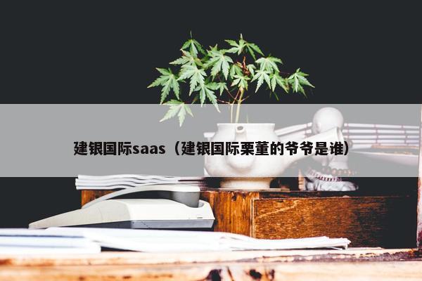 建银国际saas（建银国际栗董的爷爷是谁）