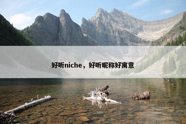 好听niche，好听昵称好寓意