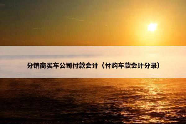 分销商买车公司付款会计（付购车款会计分录）