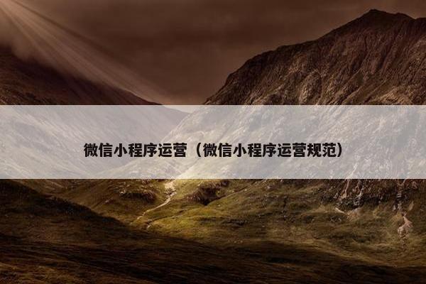 微信小程序运营（微信小程序运营规范）