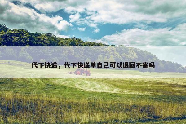 代下快递，代下快递单自己可以退回不寄吗