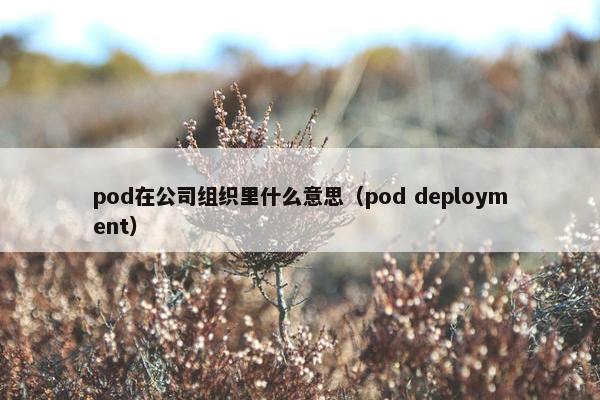 pod在公司组织里什么意思（pod deployment）