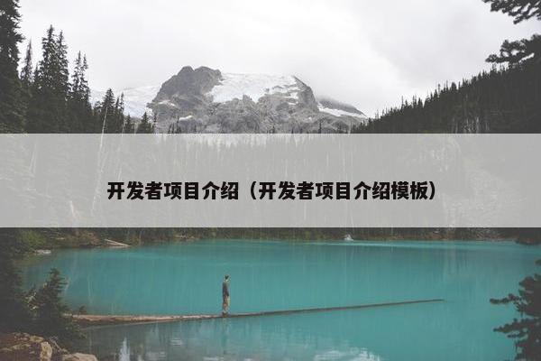 开发者项目介绍（开发者项目介绍模板）