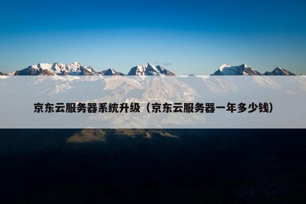 京东云服务器系统升级（京东云服务器一年多少钱）