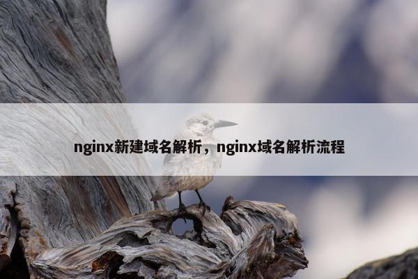 nginx新建域名解析，nginx域名解析流程