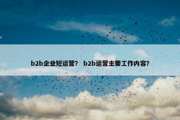 b2b企业短运营？ b2b运营主要工作内容？