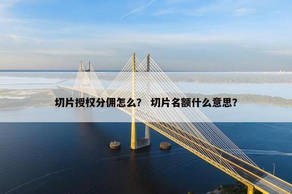 切片授权分佣怎么？ 切片名额什么意思？