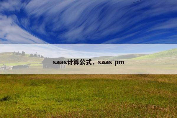 saas计算公式，saas pm