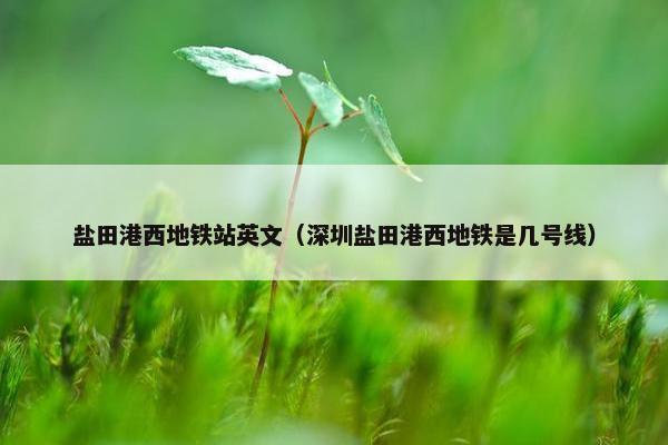 盐田港西地铁站英文（深圳盐田港西地铁是几号线）