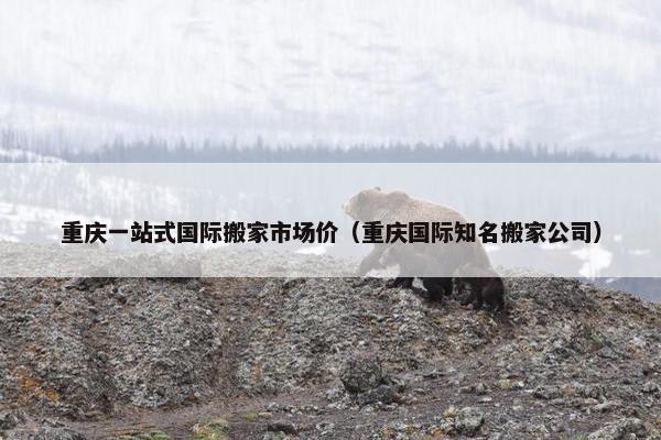 重庆一站式国际搬家市场价（重庆国际知名搬家公司）