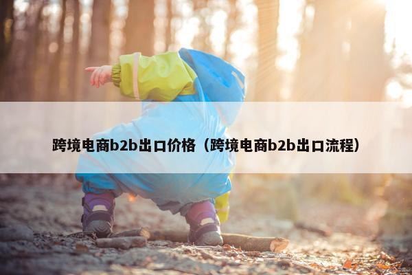 跨境电商b2b出口价格（跨境电商b2b出口流程）