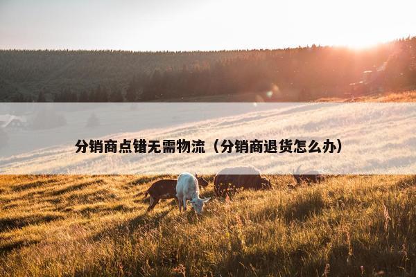 分销商点错无需物流（分销商退货怎么办）