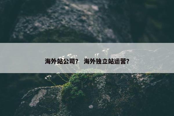 海外站公司？ 海外独立站运营？