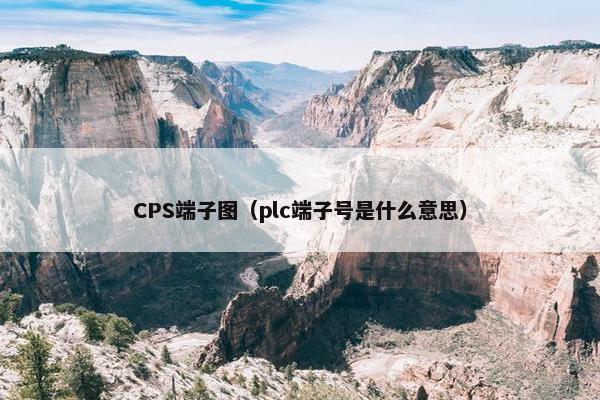 CPS端子图（plc端子号是什么意思）