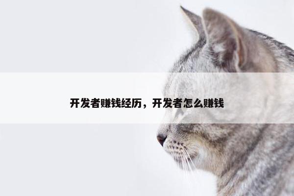 开发者赚钱经历，开发者怎么赚钱