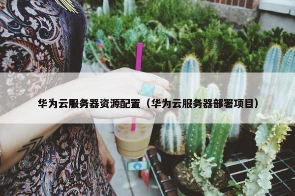 华为云服务器资源配置（华为云服务器部署项目）