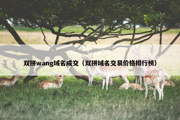 双拼wang域名成交（双拼域名交易价格排行榜）