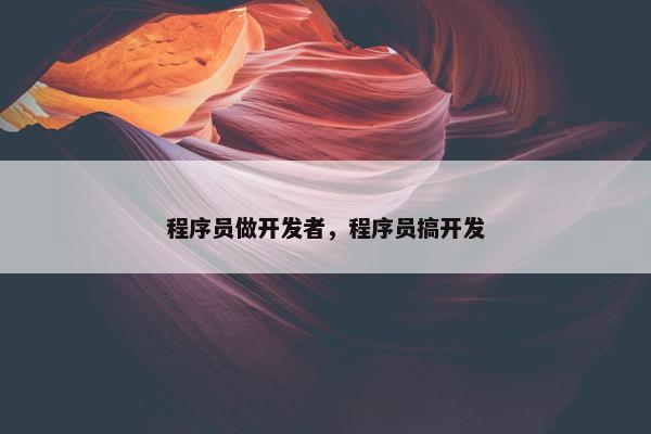 程序员做开发者，程序员搞开发