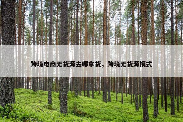 跨境电商无货源去哪拿货，跨境无货源模式