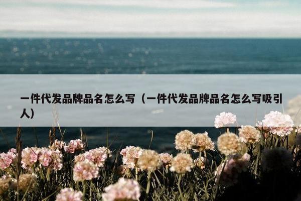 一件代发品牌品名怎么写（一件代发品牌品名怎么写吸引人）