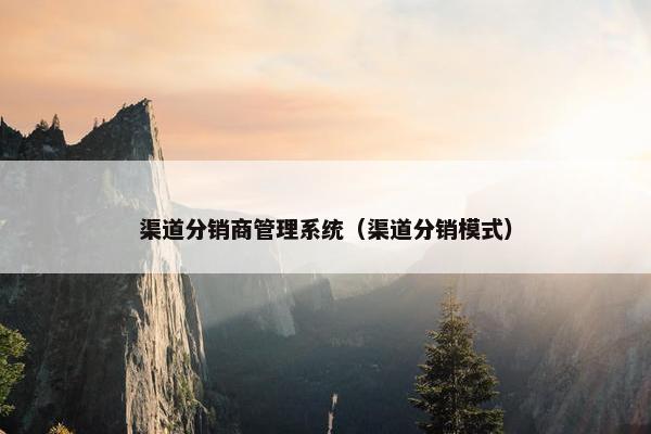 渠道分销商管理系统（渠道分销模式）