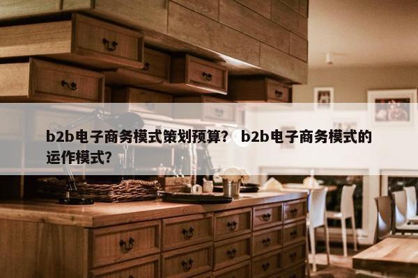 b2b电子商务模式策划预算？ b2b电子商务模式的运作模式？