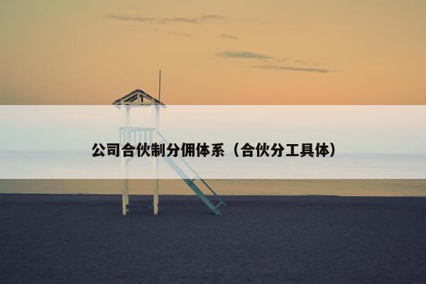 公司合伙制分佣体系（合伙分工具体）