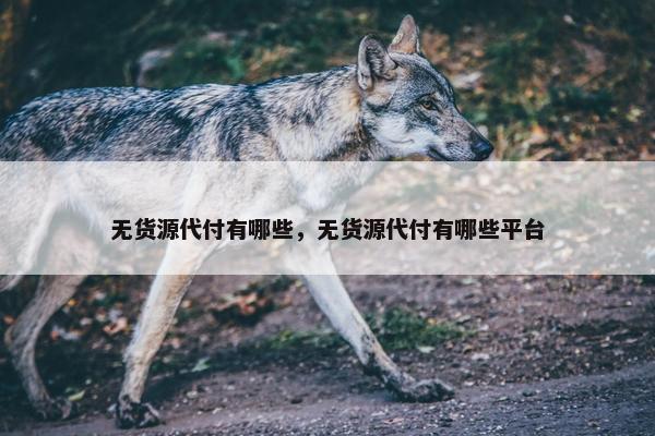 无货源代付有哪些，无货源代付有哪些平台