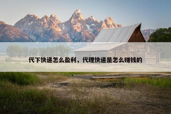 代下快递怎么盈利，代理快递是怎么赚钱的