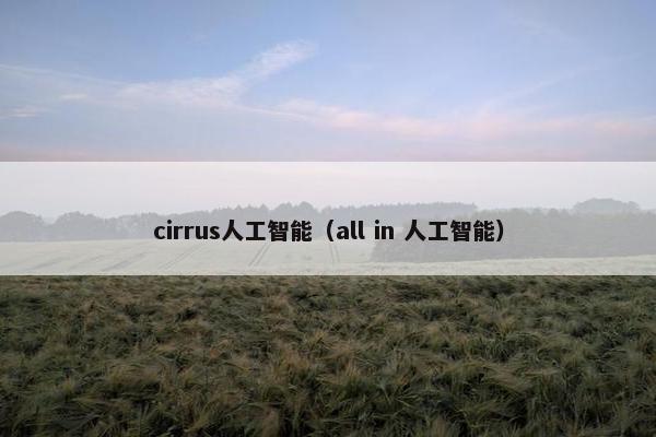 cirrus人工智能（all in 人工智能）