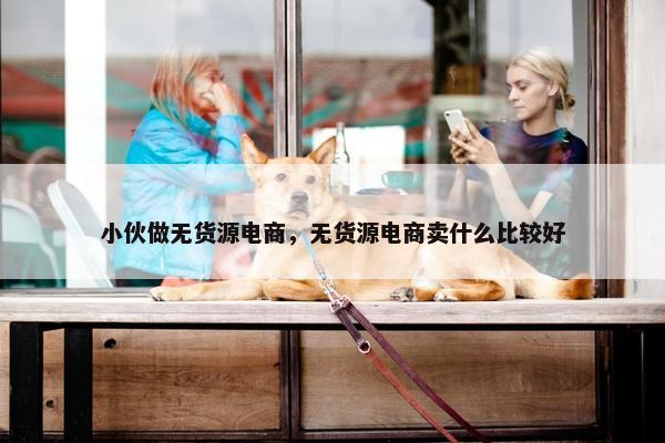 小伙做无货源电商，无货源电商卖什么比较好