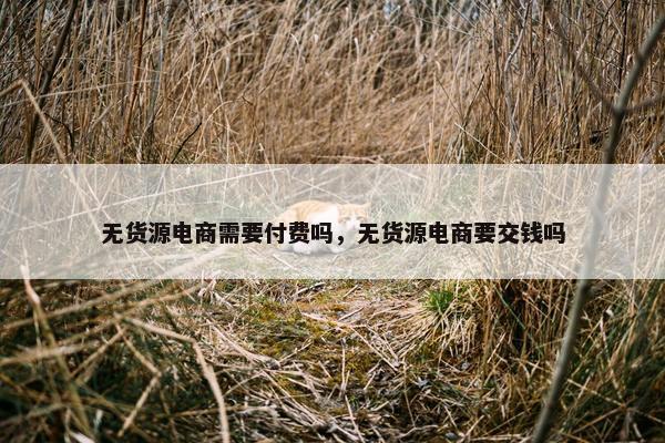 无货源电商需要付费吗，无货源电商要交钱吗