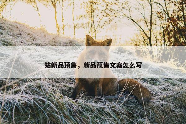 站新品预售，新品预售文案怎么写