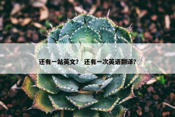还有一站英文？ 还有一次英语翻译？