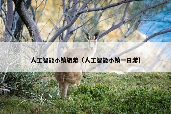 人工智能小镇旅游（人工智能小镇一日游）
