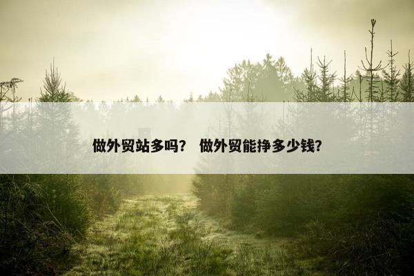 做外贸站多吗？ 做外贸能挣多少钱？