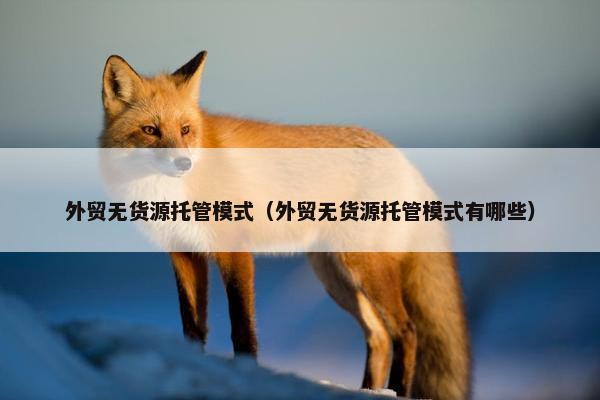 外贸无货源托管模式（外贸无货源托管模式有哪些）