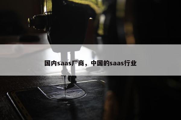 国内saas厂商，中国的saas行业
