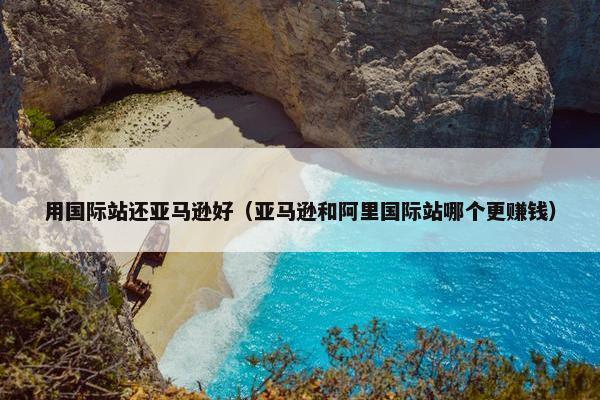 用国际站还亚马逊好（亚马逊和阿里国际站哪个更赚钱）