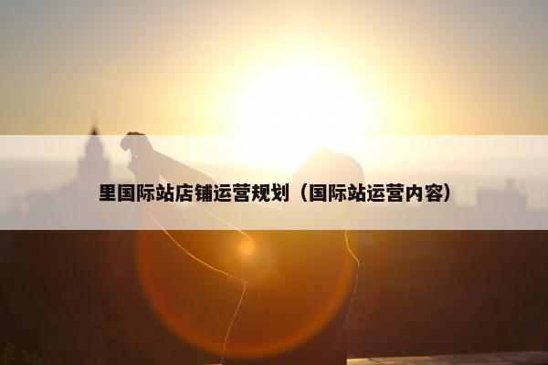 里国际站店铺运营规划（国际站运营内容）