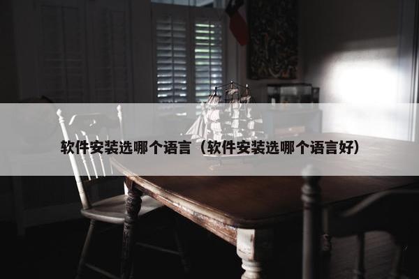 软件安装选哪个语言（软件安装选哪个语言好）