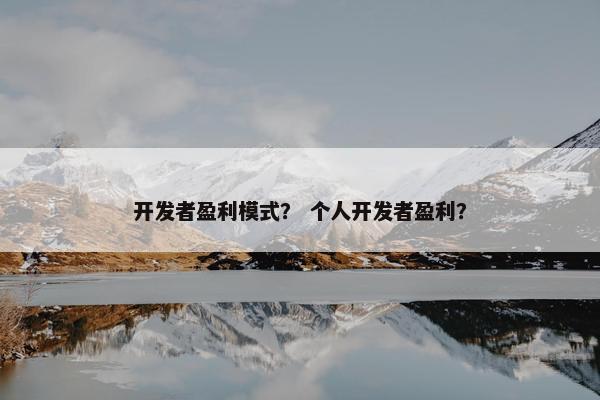 开发者盈利模式？ 个人开发者盈利？